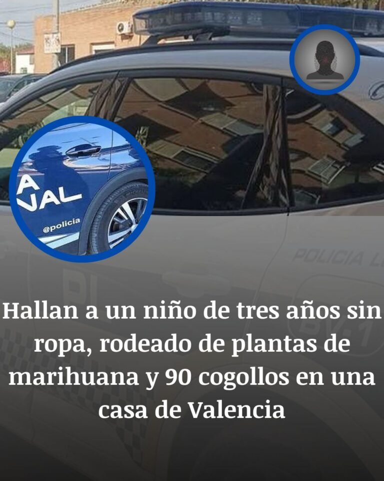 Sedaví: hallan a un niño de tres años desnudo junto a marihuana tras un aviso por una discusión