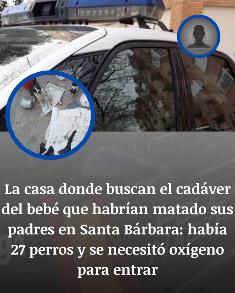 La casa de Santa Bàrbara donde buscan los restos del bebé: 27 perros, aire irrespirable y una búsqueda que no se detiene