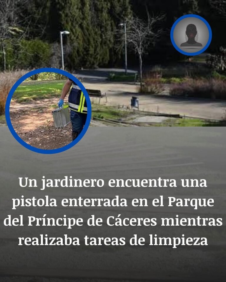 Una pistola bajo tierra: el hallazgo que inquieta al Parque del Príncipe de Cáceres