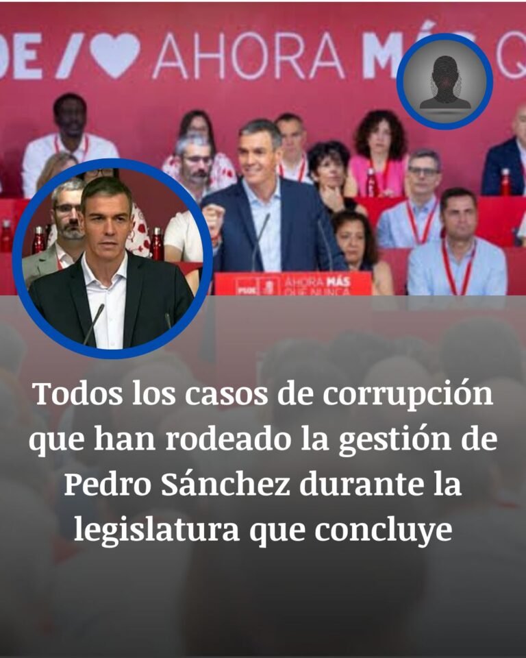 Las causas que cercaron la legislatura de Pedro Sánchez antes del adelanto electoral