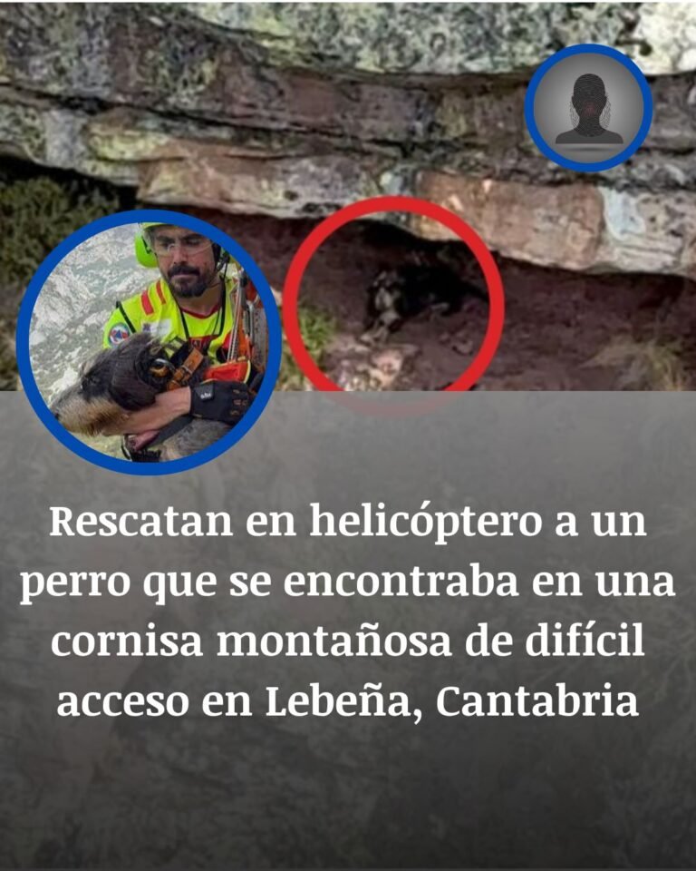 Rescatan en helicóptero a un perro atrapado en una cornisa de Lebeña