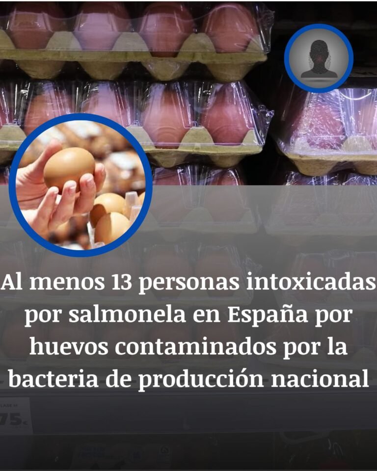 Alerta por salmonela: retirados huevos españoles tras 13 intoxicaciones