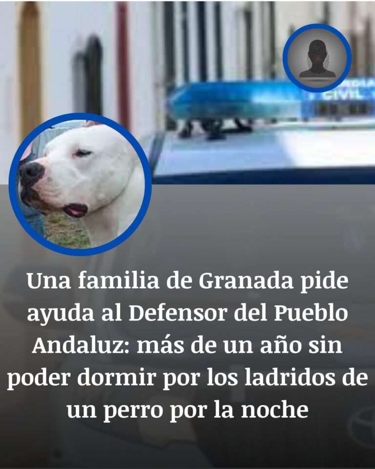 Granada: una familia lleva más de un año sin dormir por los ladridos nocturnos de un perro