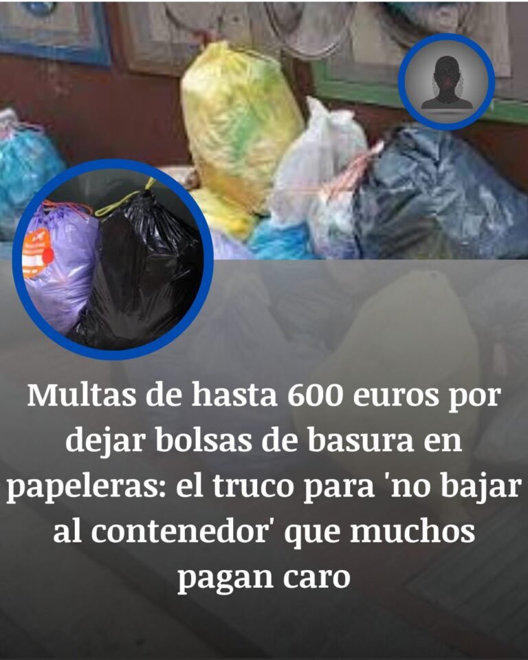 Hasta 600 euros por usar una papelera como contenedor de basura