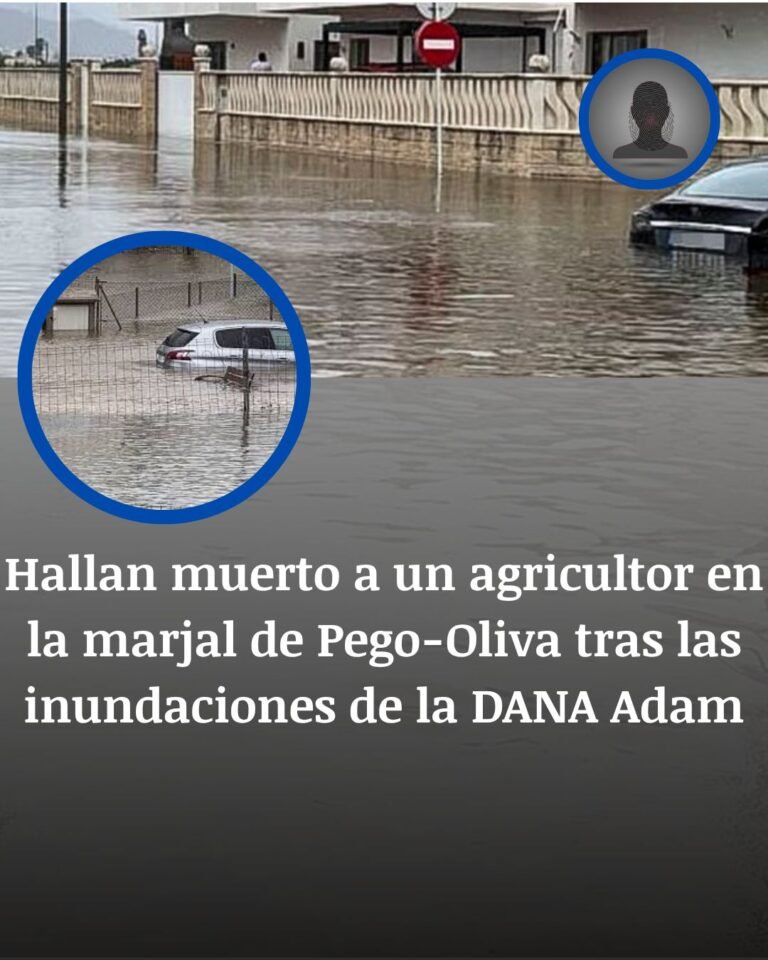 Hallan muerto a un agricultor en la marjal de Pego-Oliva tras la DANA Adam