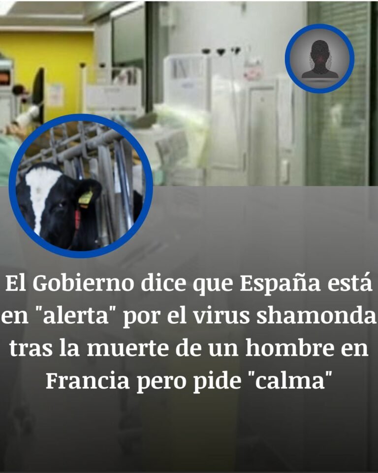 España en alerta por el virus Shamonda tras el fallecimiento del primer paciente humano en Francia