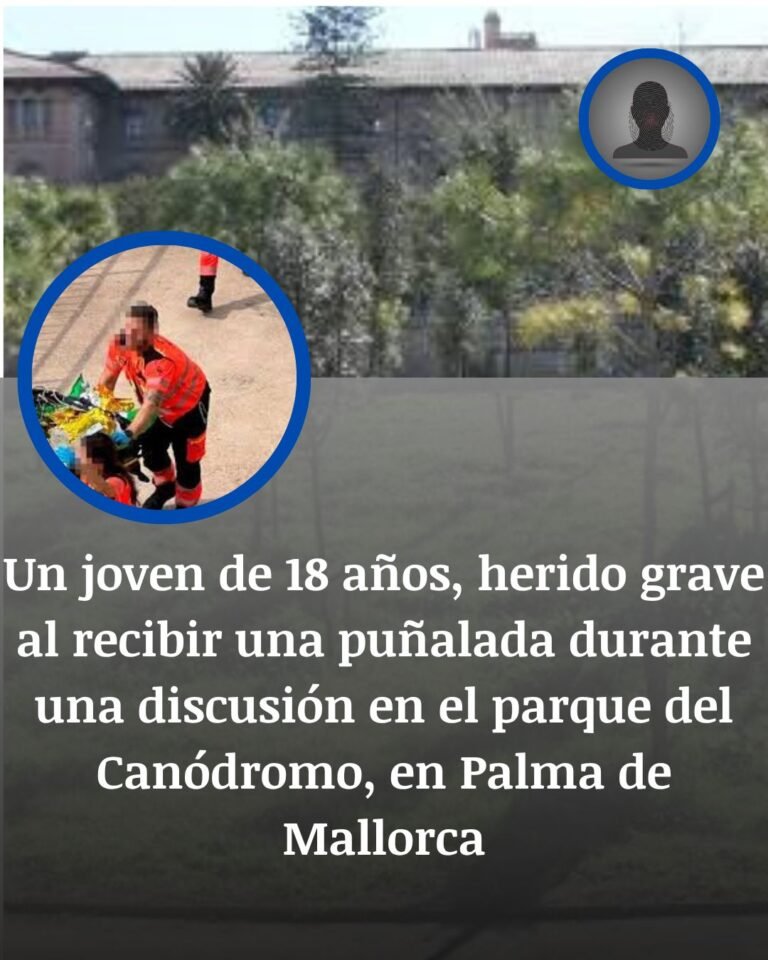 Palma: un joven de 18 años queda grave tras una puñalada en el parque del Canódromo