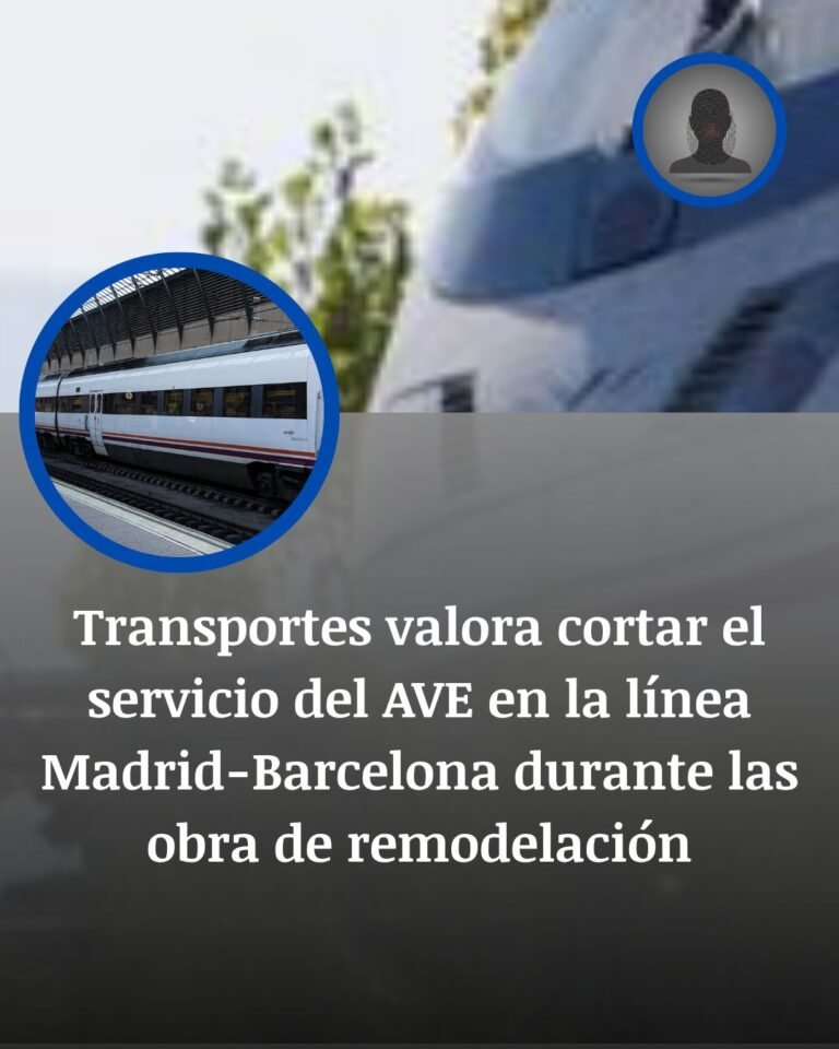 Transportes estudia cortar el AVE Madrid-Barcelona para acelerar las obras de renovación