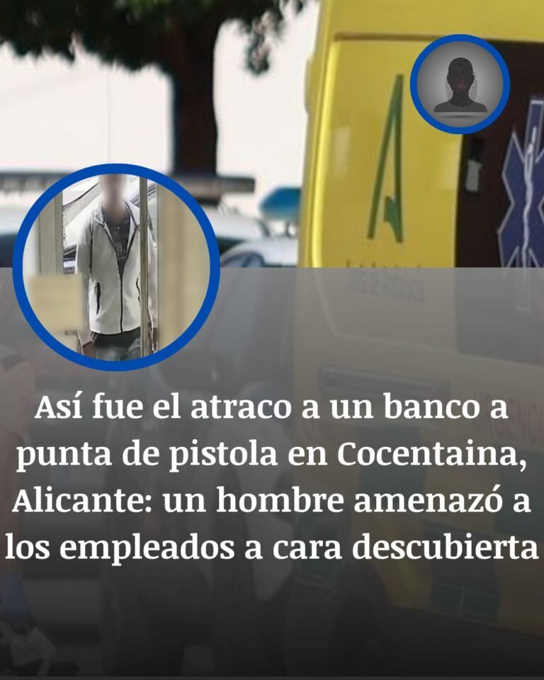 Atraco en Cocentaina: prisión para el sospechoso detenido en un parque de Alcoy